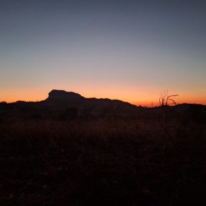 Kasungu National Park