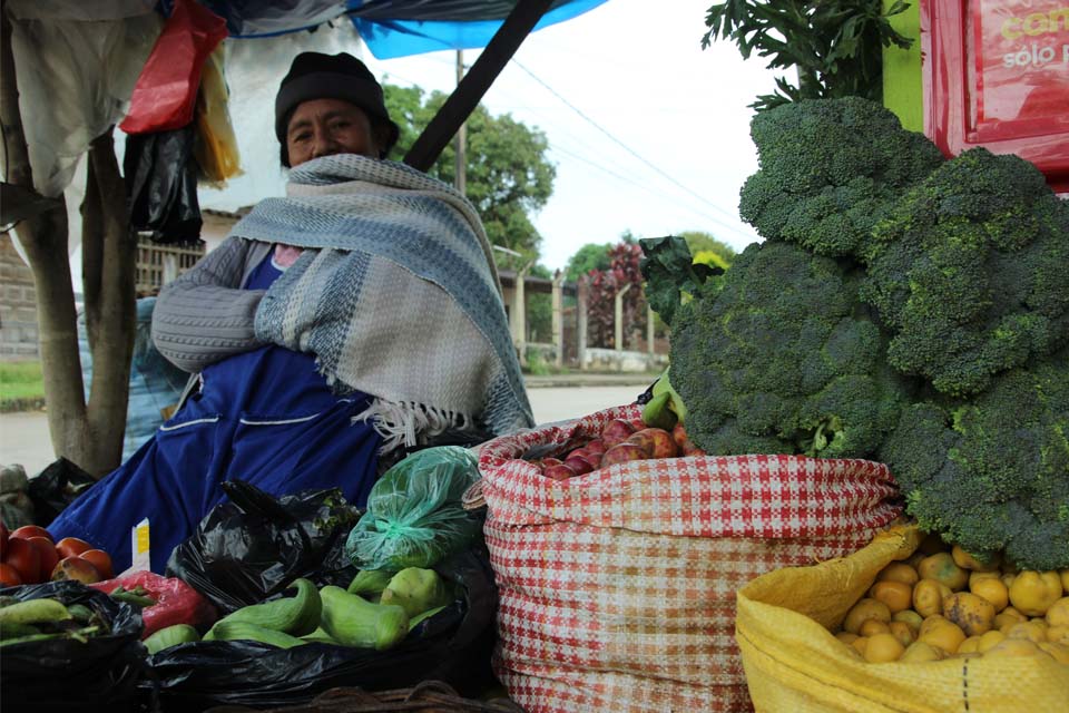 Lokale markt in Bolivia